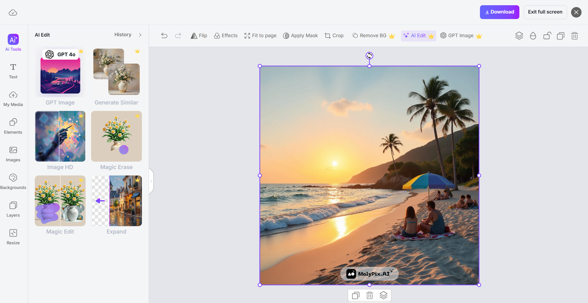 molypix built-in editor
