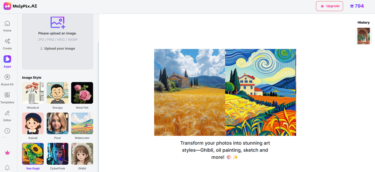 molypix van gogh filter