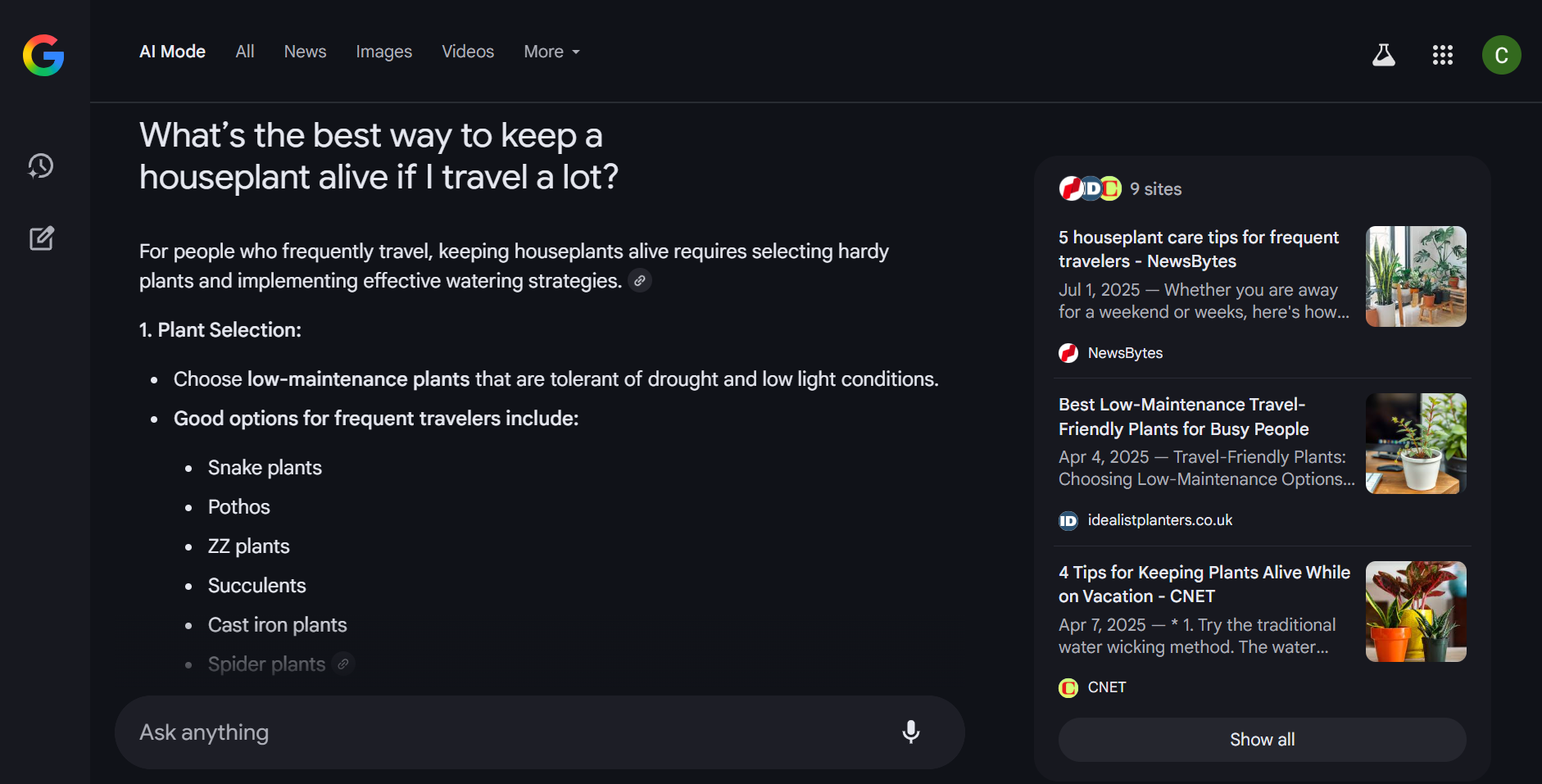 Google AI Mode